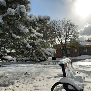 Meet your Posher, Fatema